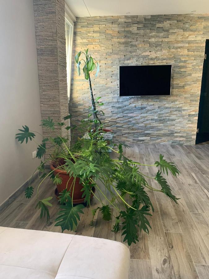 Mara'S Apartment In فلورنس المظهر الخارجي الصورة